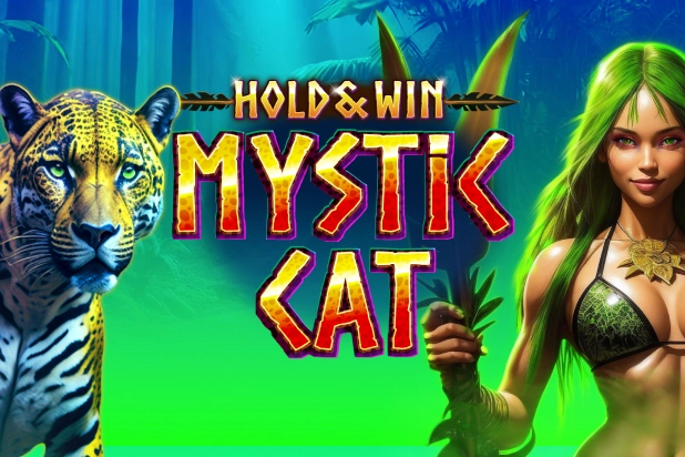 01080 mystic cat